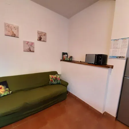 Il Tulipano Assemini