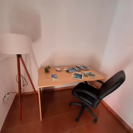 Il Tulipano