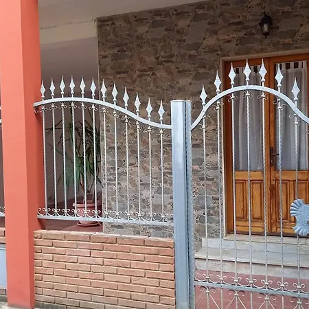 Il Tulipano