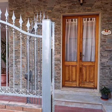 Il Tulipano
